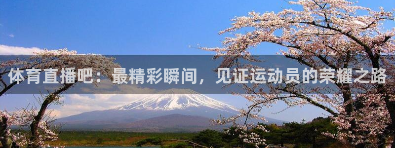 体育直播吧：最精彩瞬间，见证运动员的荣耀之路
