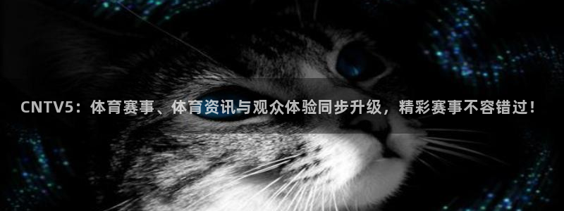 CNTV5：体育赛事、体育资讯与观众体验同步升级，精彩赛事不容错过！