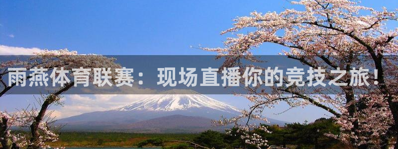 雨燕体育联赛：现场直播你的竞技之旅！
