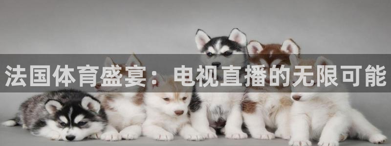 法国体育盛宴：电视直播的无限可能