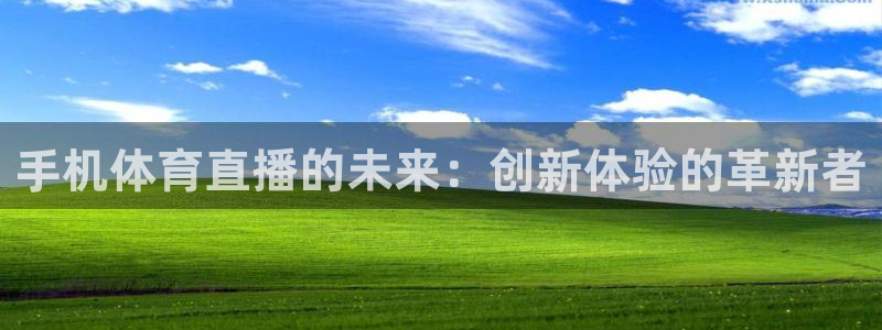 手机体育直播的未来：创新体验的革新者