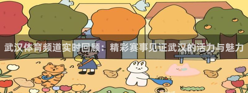 武汉体育频道实时回顾：精彩赛事见证武汉的活力与魅力