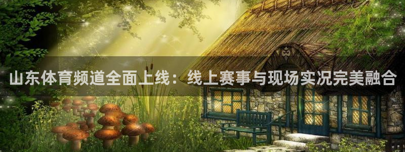 山东体育频道全面上线：线上赛事与现场实况完美融合
