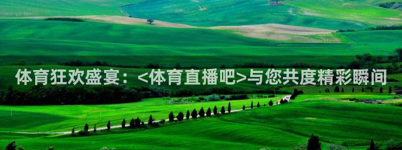 体育狂欢盛宴：<体育直播吧>与您共度精彩瞬间