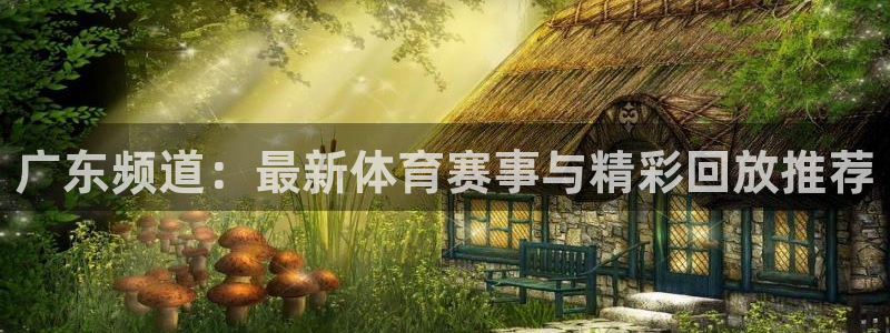 广东频道：最新体育赛事与精彩回放推荐