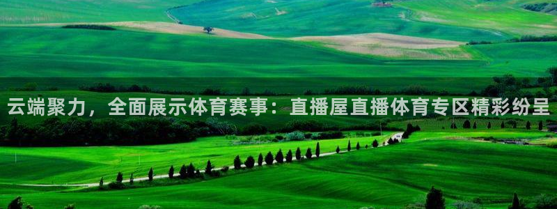 云端聚力，全面展示体育赛事：直播屋直播体育专区精彩纷呈