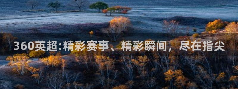 360英超:精彩赛事、精彩瞬间，尽在指尖