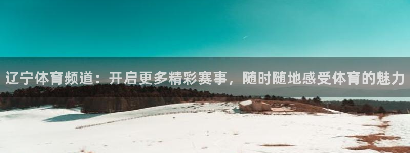辽宁体育频道：开启更多精彩赛事，随时随地感受体育的魅力