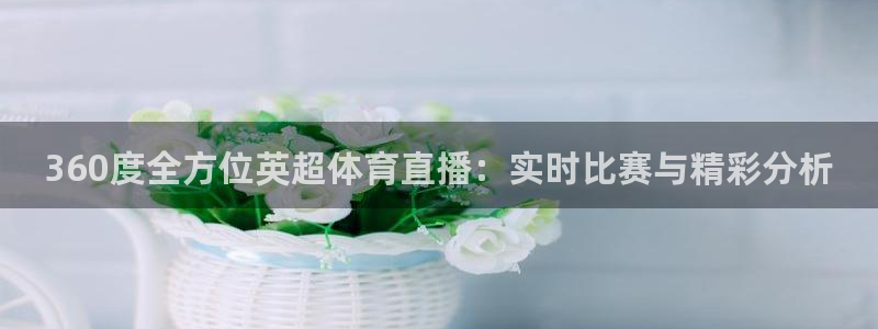 360度全方位英超体育直播：实时比赛与精彩分析