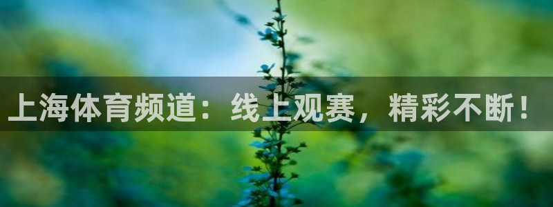 上海体育频道：线上观赛，精彩不断！