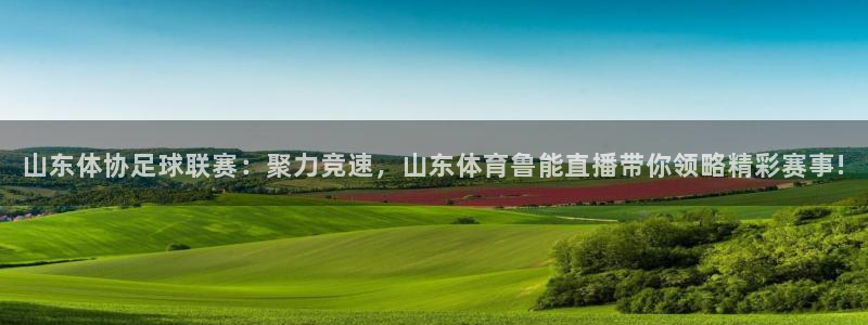 山东体协足球联赛：聚力竞速，山东体育鲁能直播带你领略精彩赛事!