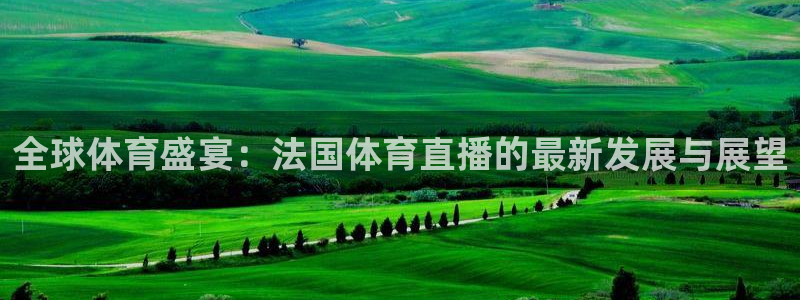 全球体育盛宴：法国体育直播的最新发展与展望